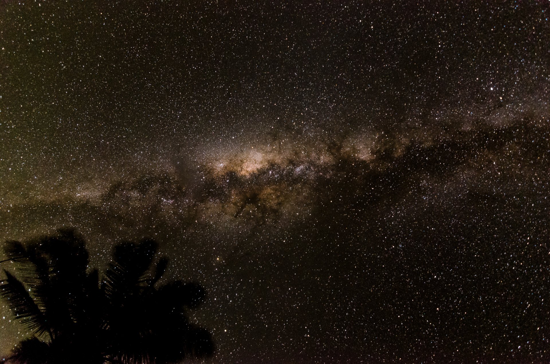 cosmos stars night space milky way palm tree silhouette