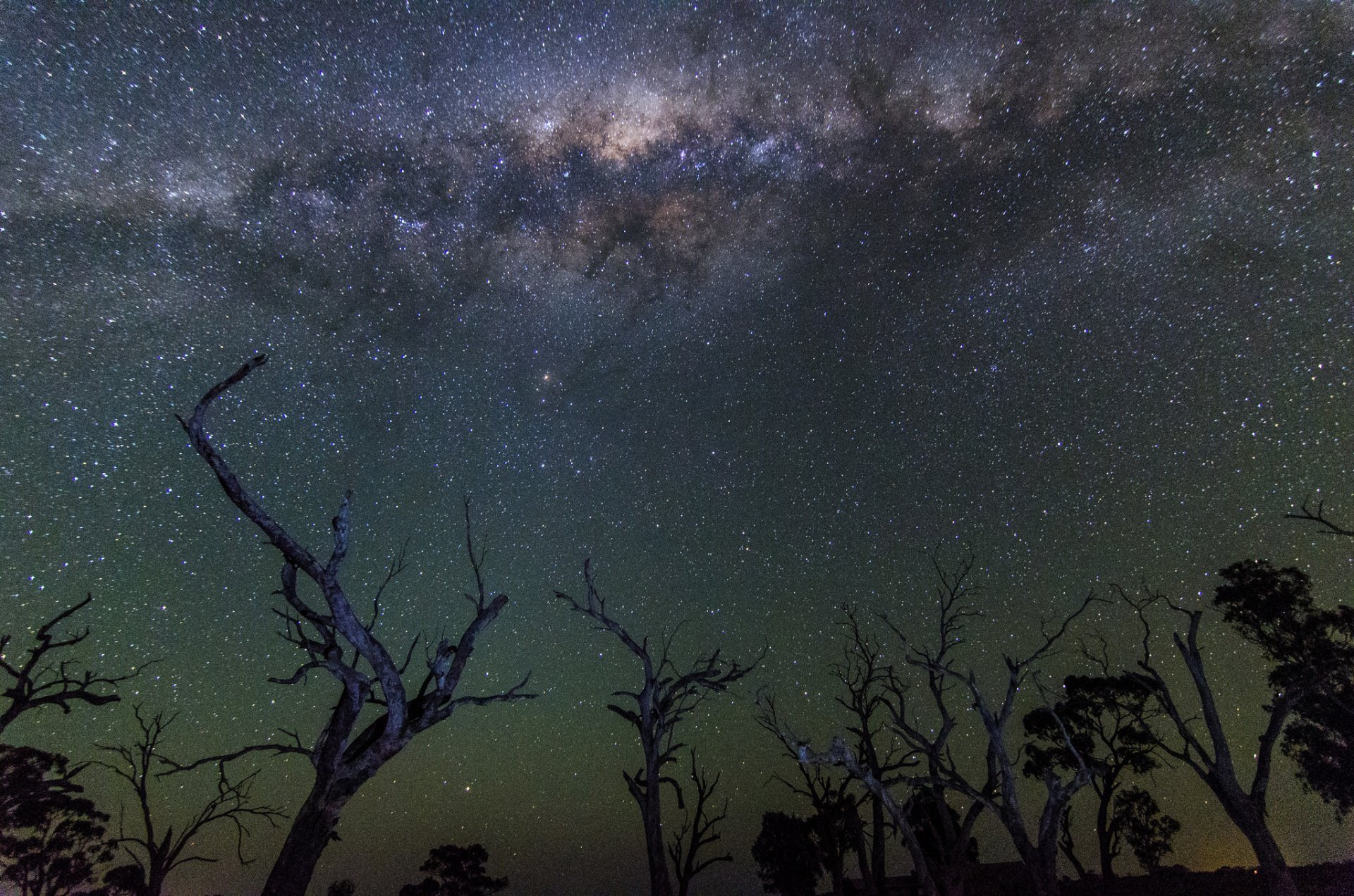 cosmos estrellas vía láctea noche árboles