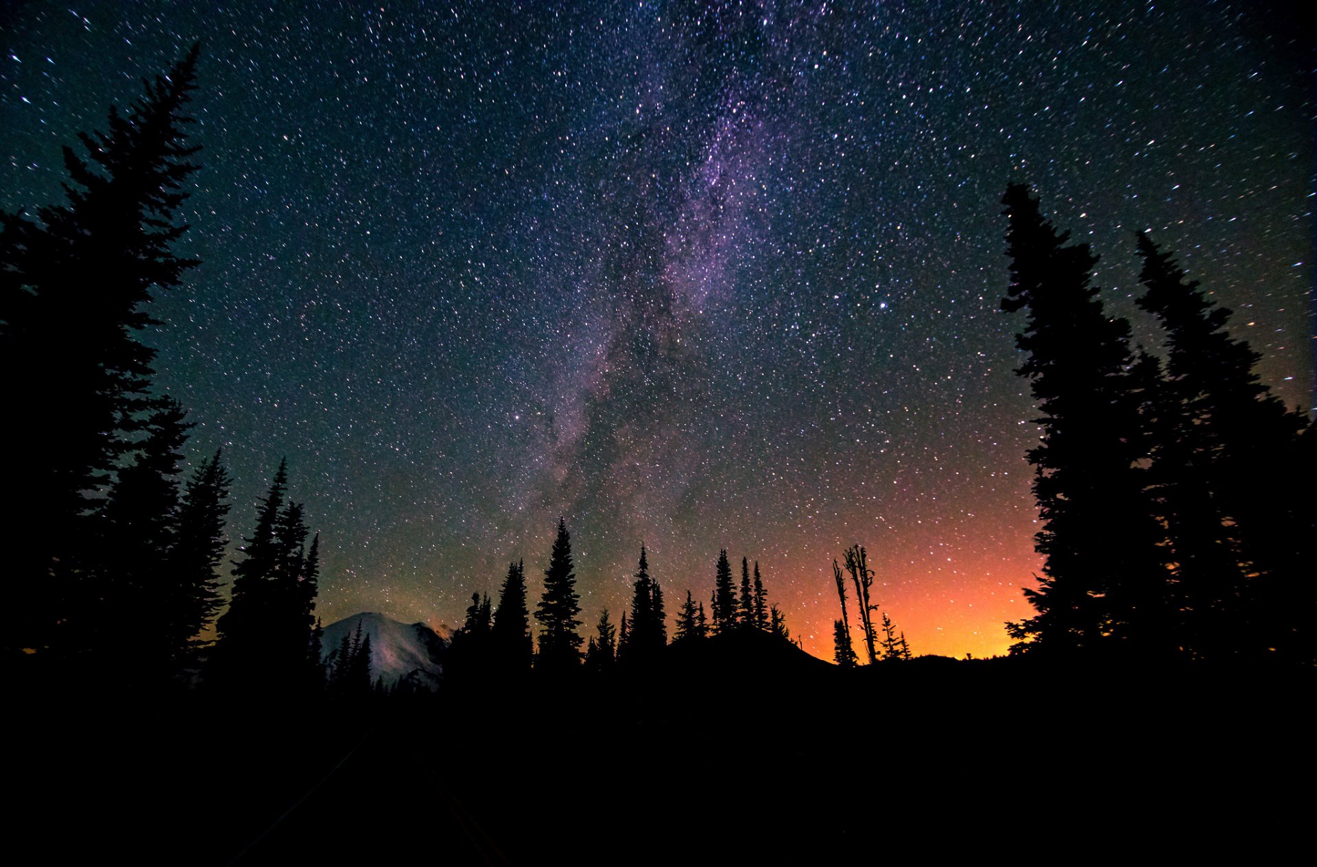 cosmos estrellas noche espacio vía láctea árboles bosque