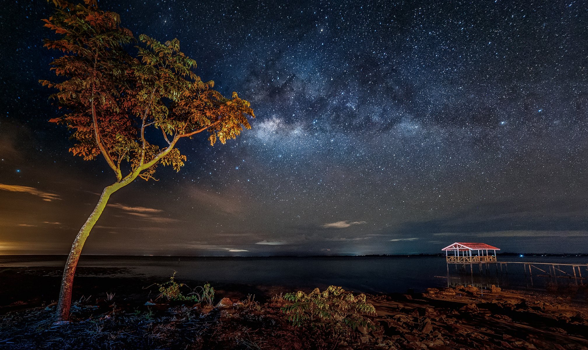 milky way pier lake tree star mystery