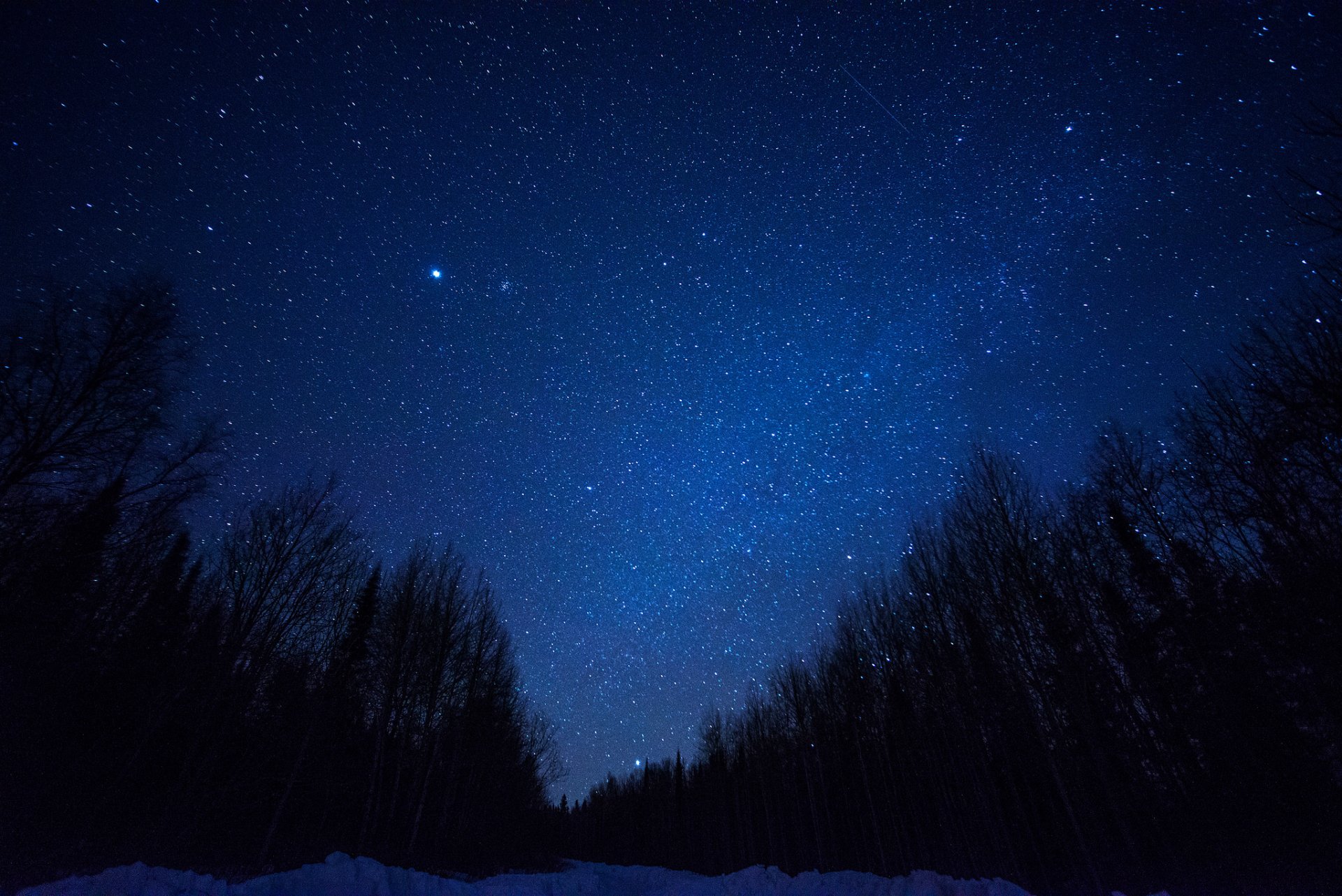 espace étoiles nuit espace voie lactée arbres silhouette