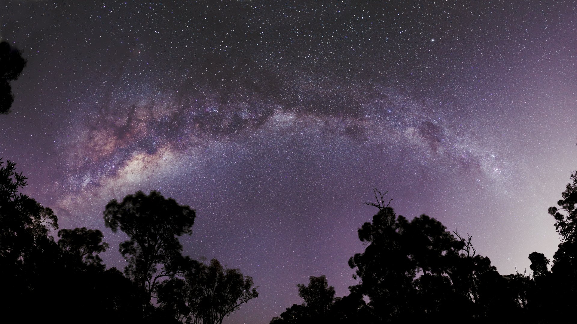 spazio stelle via lattea alberi