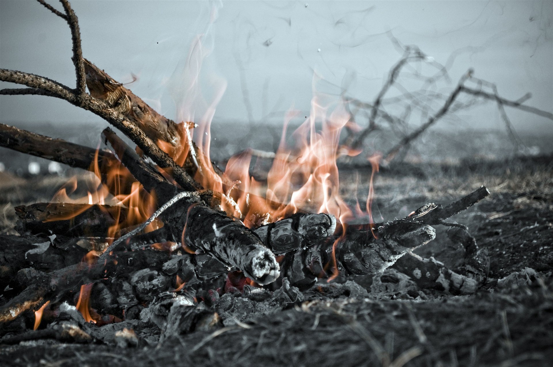 rami cenere fumo legno carboni fuoco falò fiamma