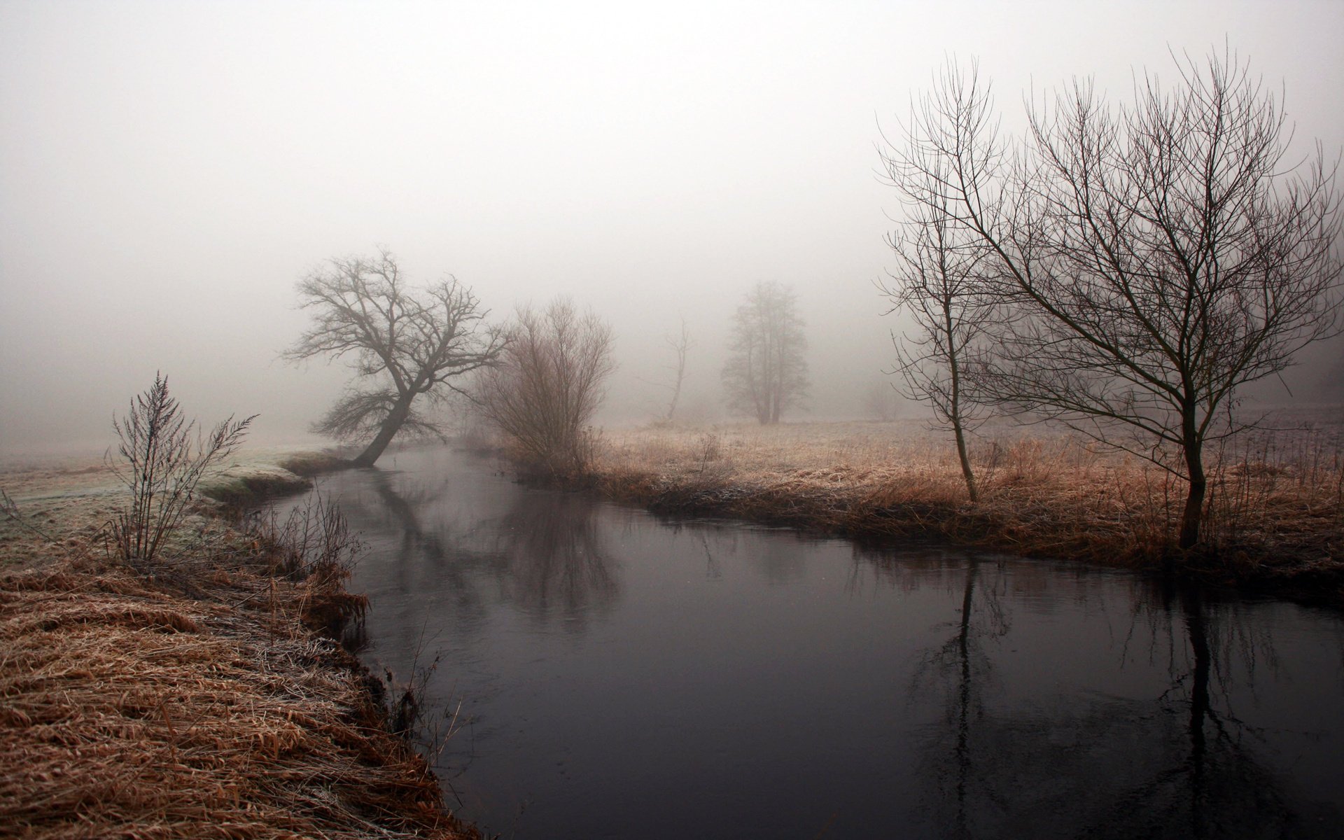 il est temps brouillard matin sombre rivière arbres rives eau