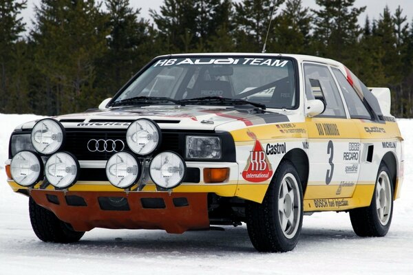 Rally in the snow Audi quatro