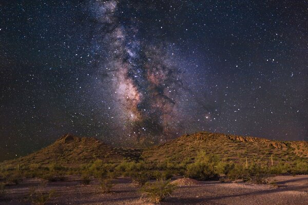 The Milky Way is visible from behind a hill covered with trees