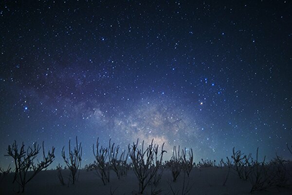 Magiczne gwiaździste niebo w zimową noc