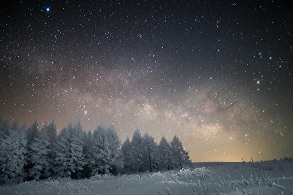 Winter view of the Milky Way in a snowy forest