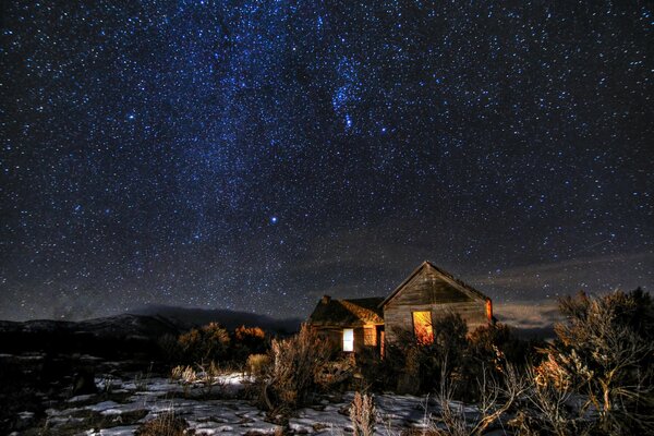 Houses and bushes in the night space with stars