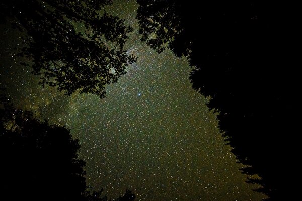 Ciel étoilé nocturne par temps clair