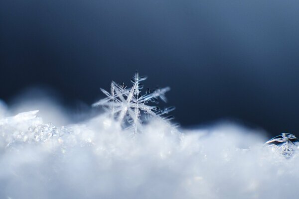 Motif de flocon de neige en cristal