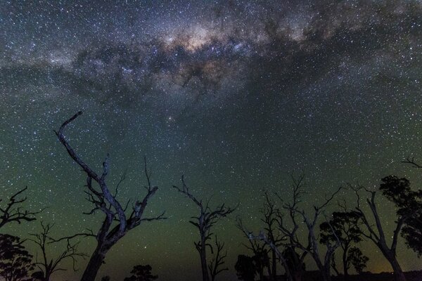 Voie lactée chemin vers la définition du bonheur ou du Cosmos au milieu de la nuit