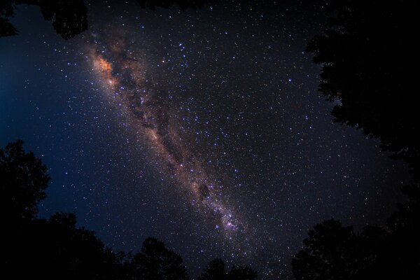 Stunning view of the Milky Way in the night sky