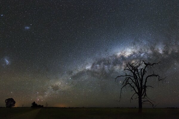 Un mondo misterioso. La bellezza del cielo notturno