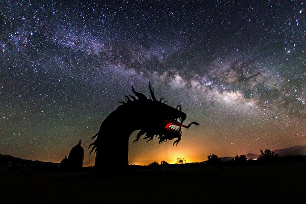 The shadow of the dragon on the background of the starry sky