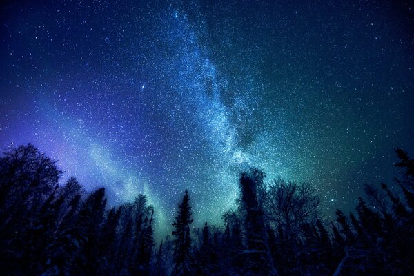 Belle image de la voie lactée dans le ciel nocturne