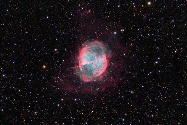 Pink dumbbell nebula in the space of black stellar space