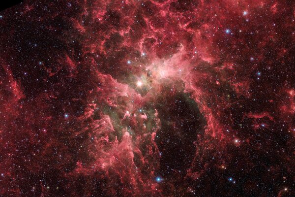 Ammasso cosmico di stelle nella nostra galassia
