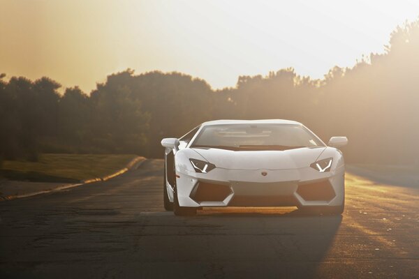 Weißer Lamborghini auf schöner Landschaft