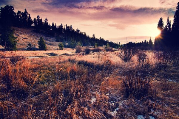 Die Landschaft zeigt Sonnenuntergang, Gras, Himmel, Sonne