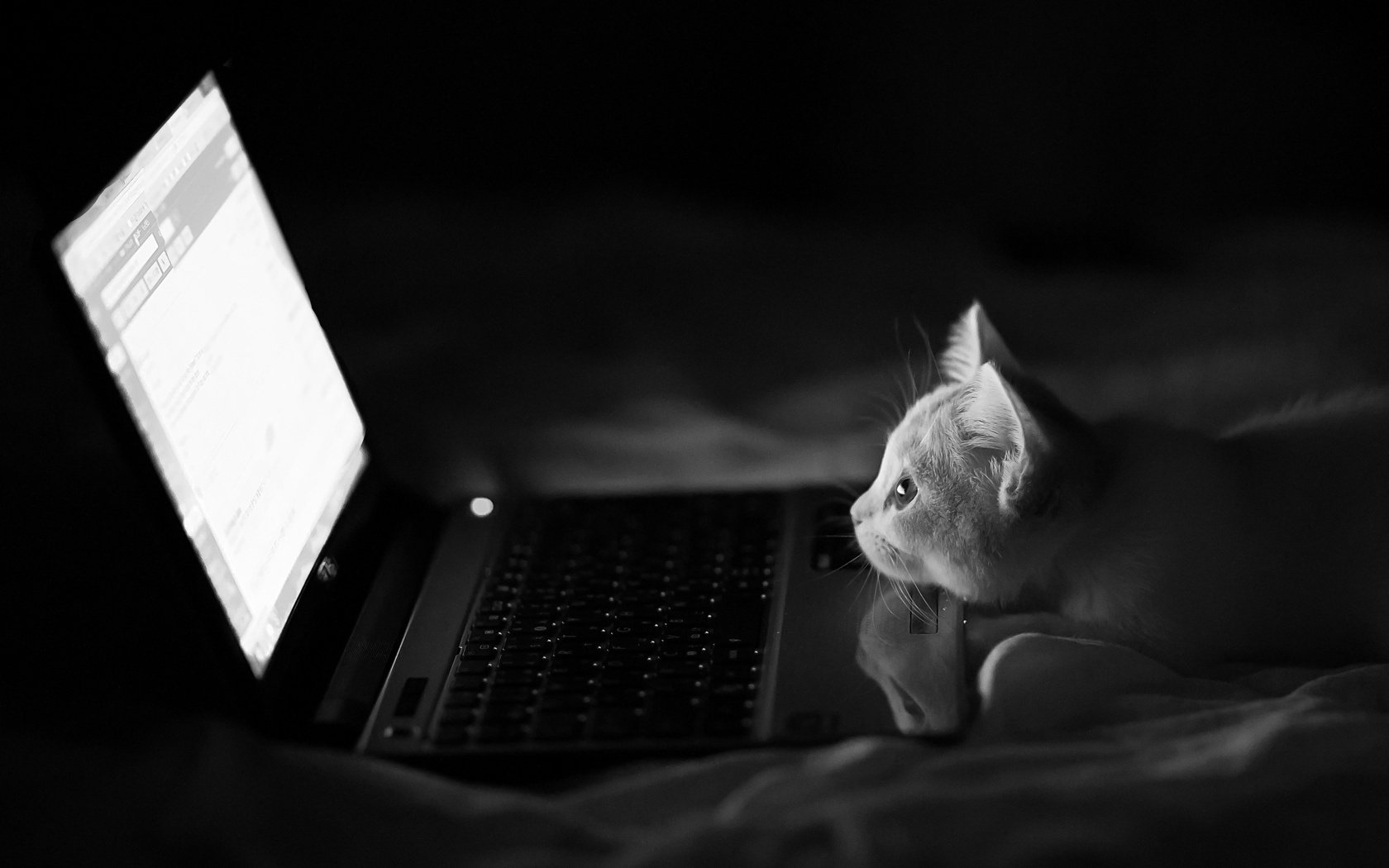 mr. benjamin torode laptop hannah