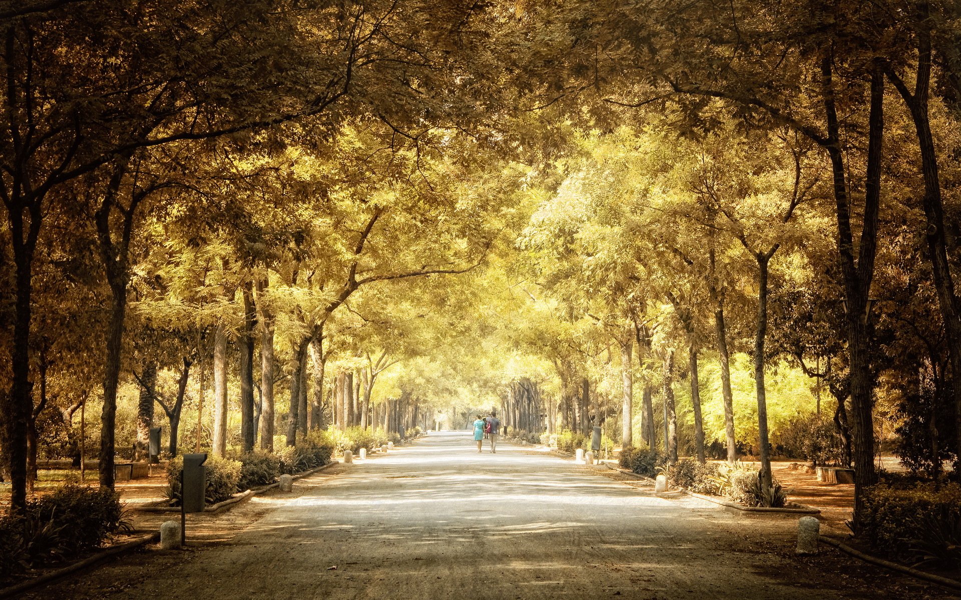 stadt park herbst
