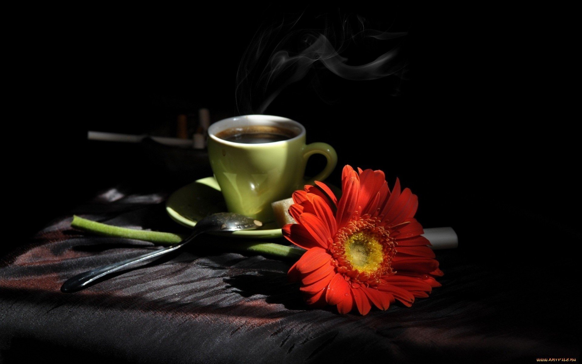 bebidas té gerbera flor fondo