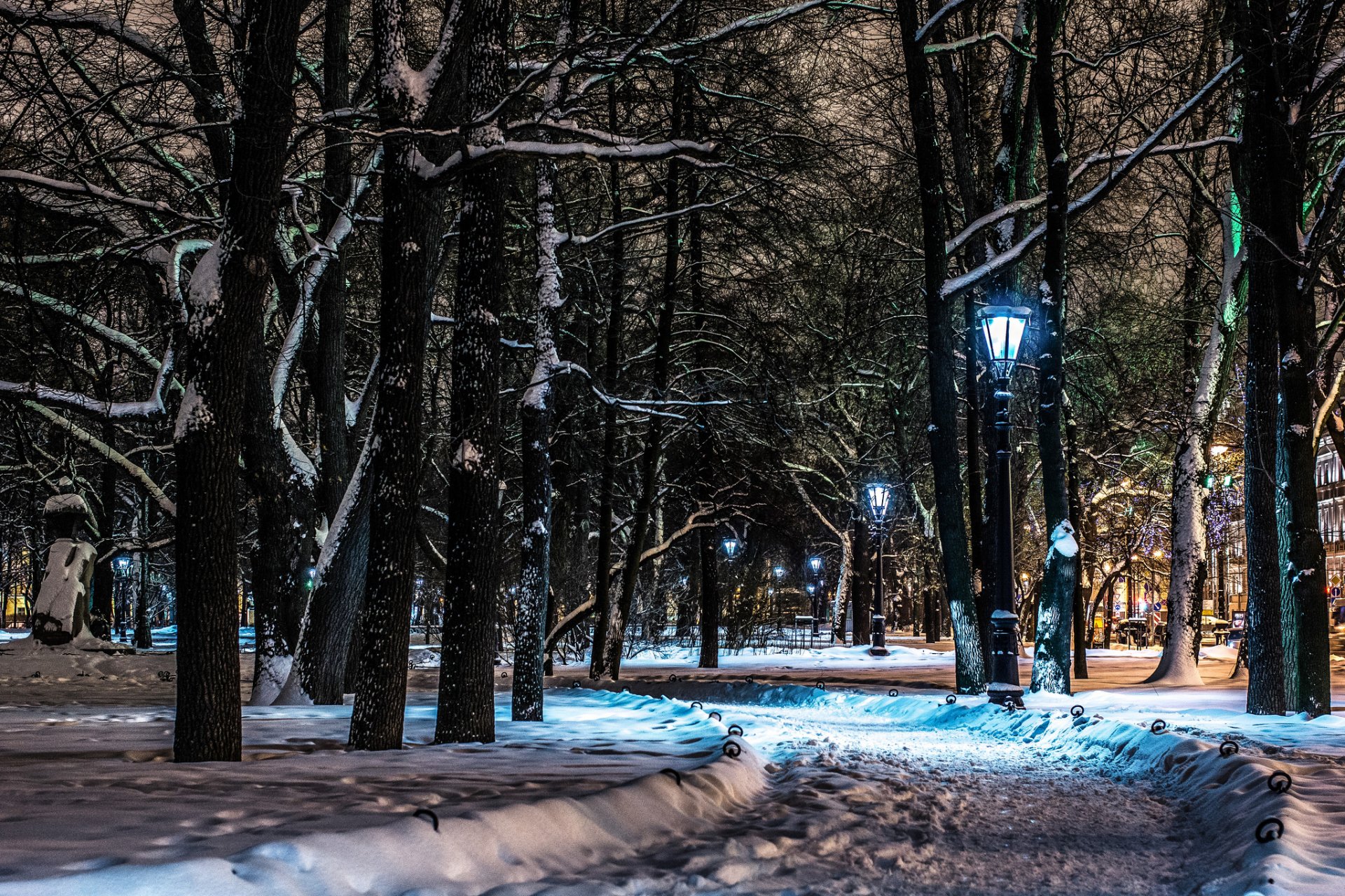 garten st. petersburg nacht lichter einsame stadt