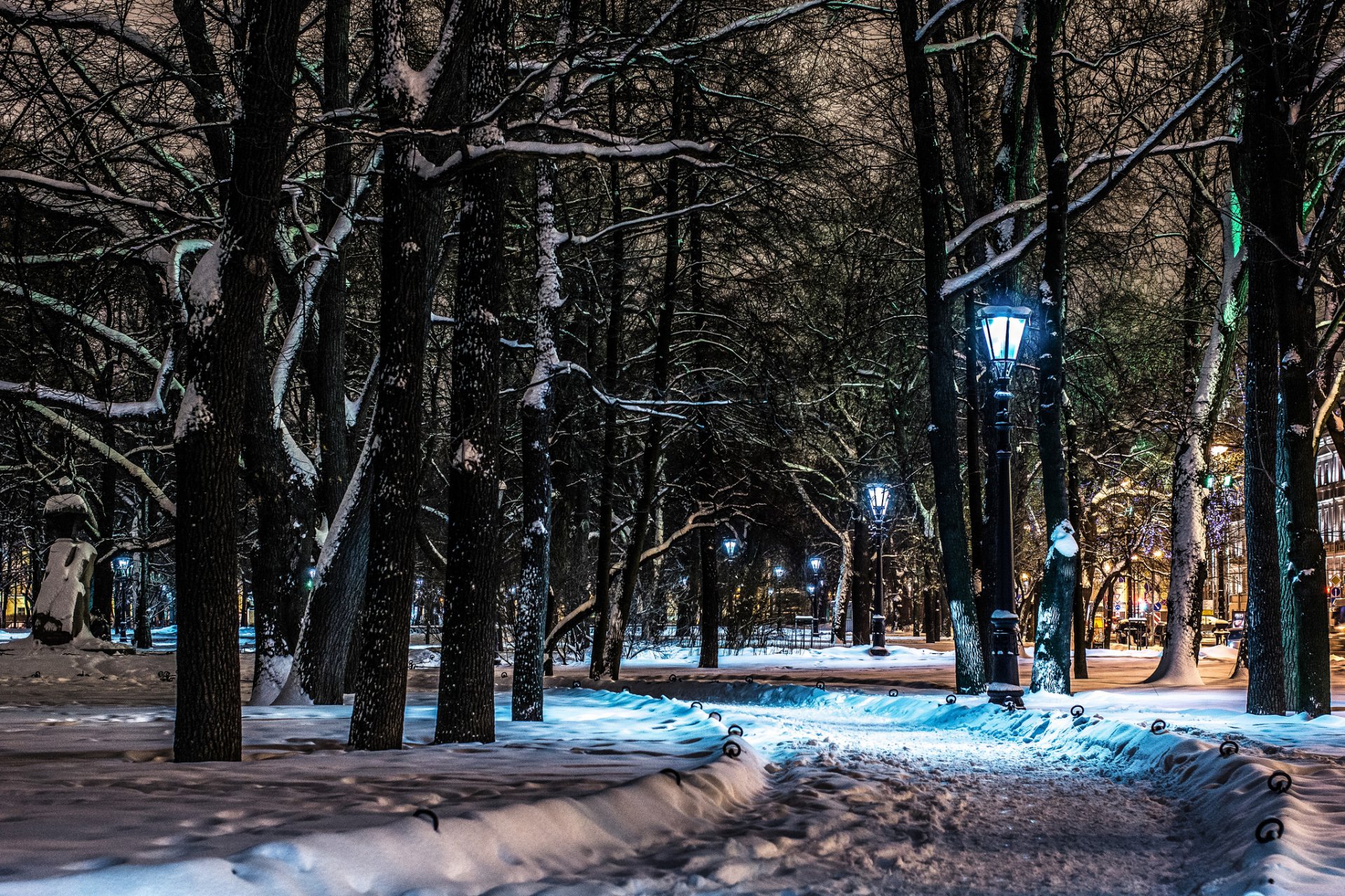 jardín san petersburgo noche linternas ciudad desierta