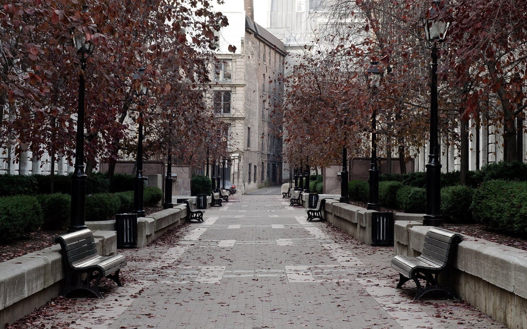 treet road benches the city park