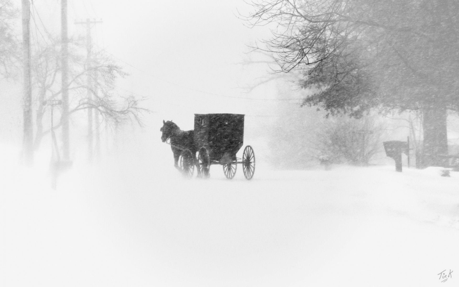 town blizzard coach snow