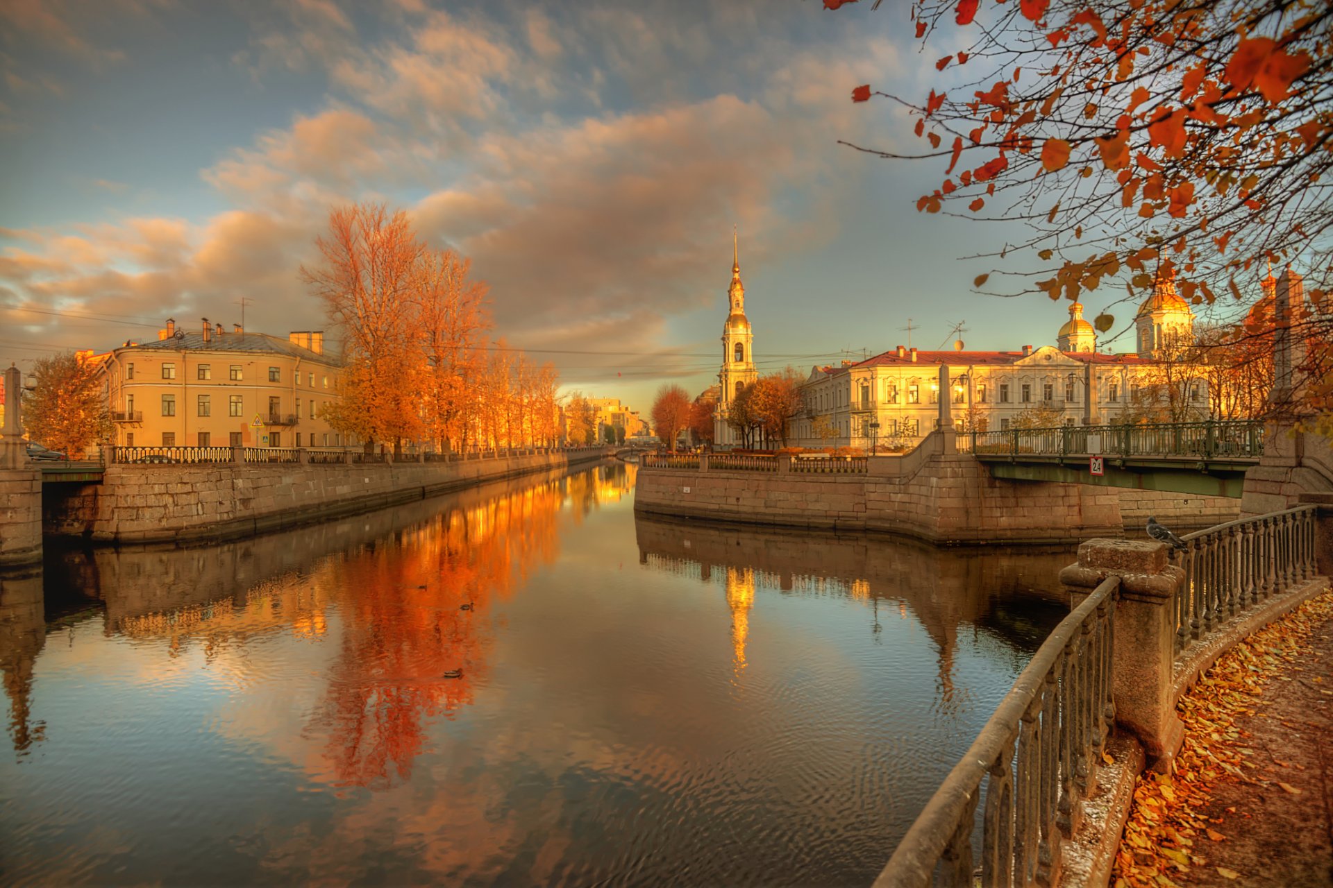 st. petersburg 30. oktober 2015 goldener herbst