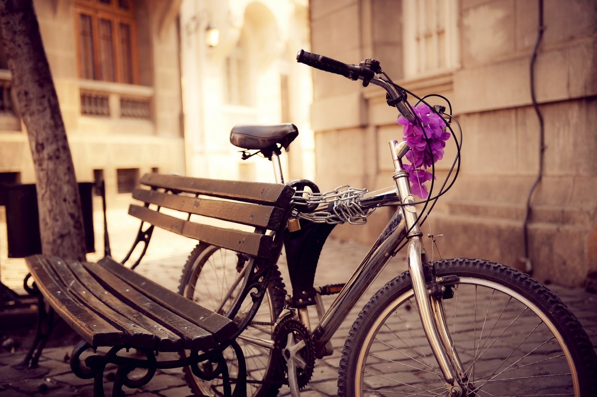 bicicleta banco calle cadena flores ciudad