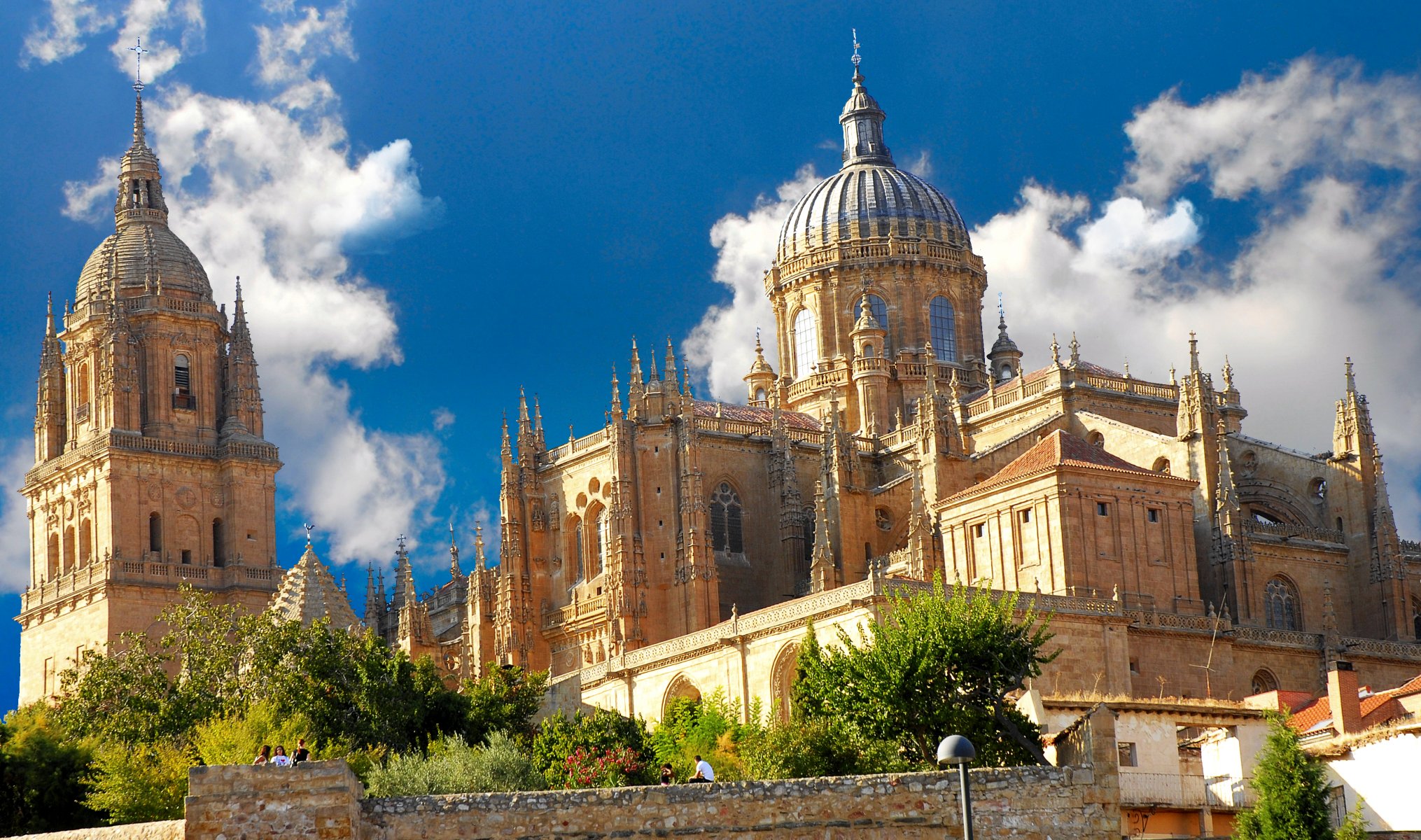 spanien españa salamanca salamanca kathedrale kathedrale stadt gotik landschaft architektur