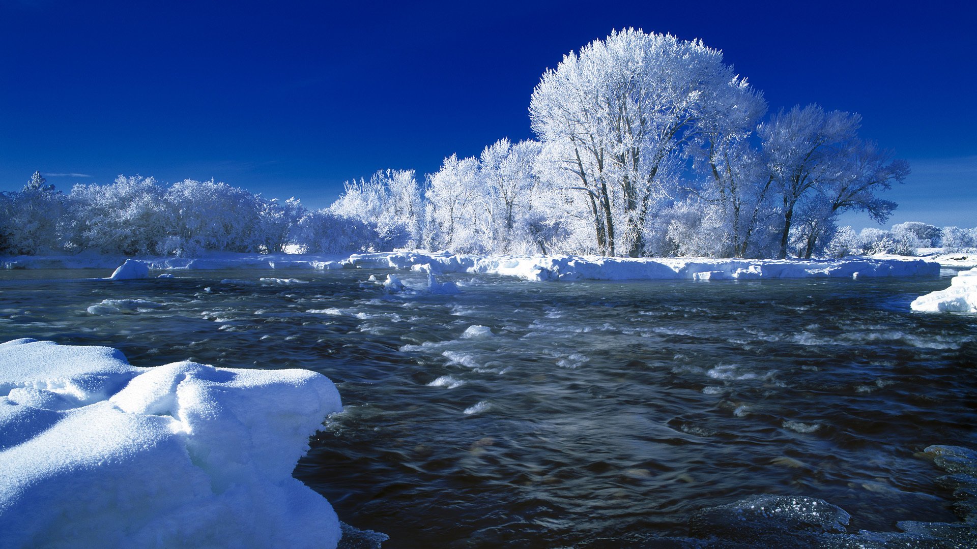 river winter snow tree