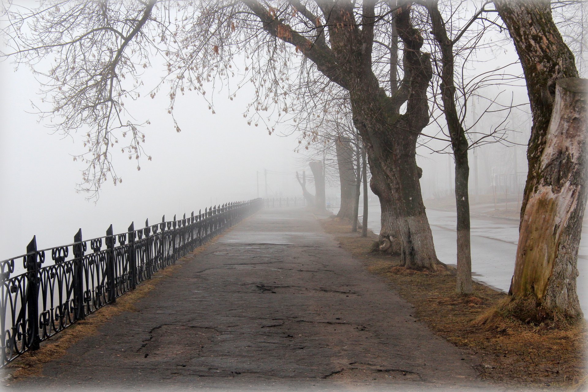 gasse frühling stadt gorsad twer nebel