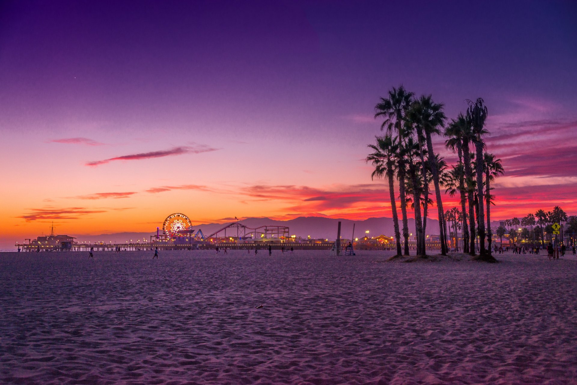 états-unis californie los angeles santa monica plage océan palmiers