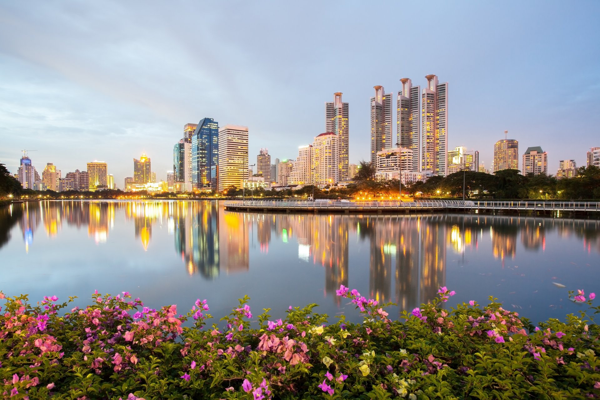bangkok thailand water reflection park bush dog rose buildings embankment