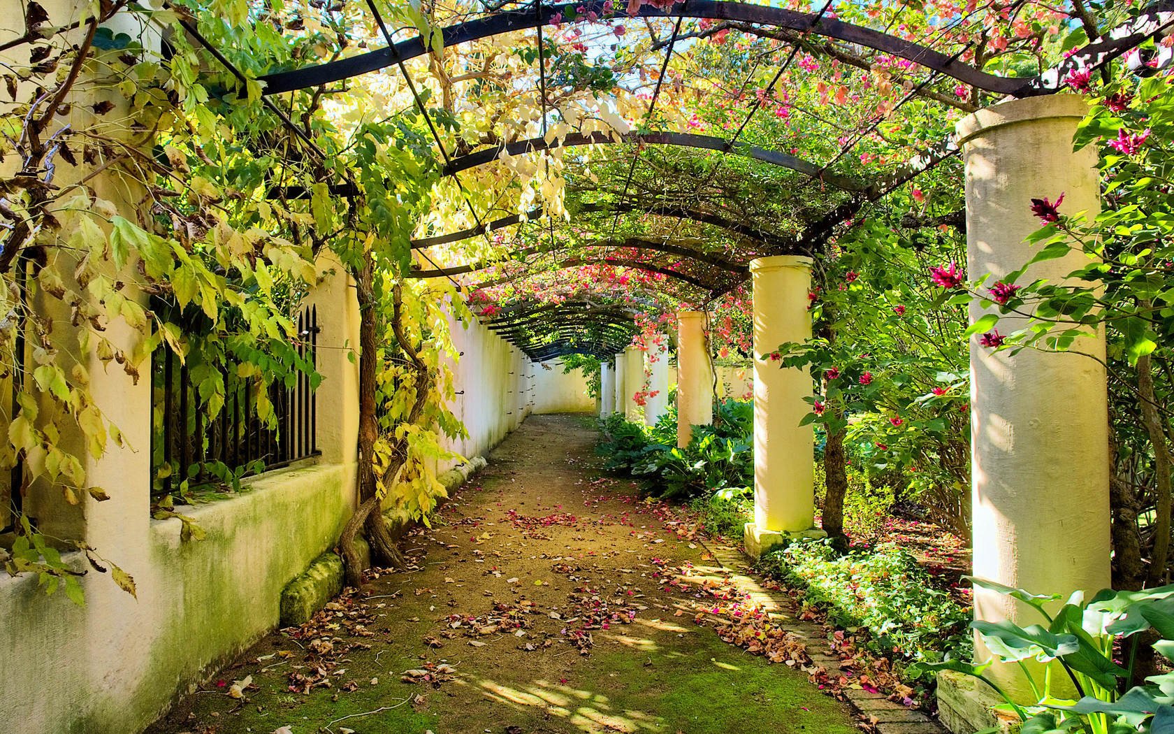 gehweg bogen herbst blätter garten