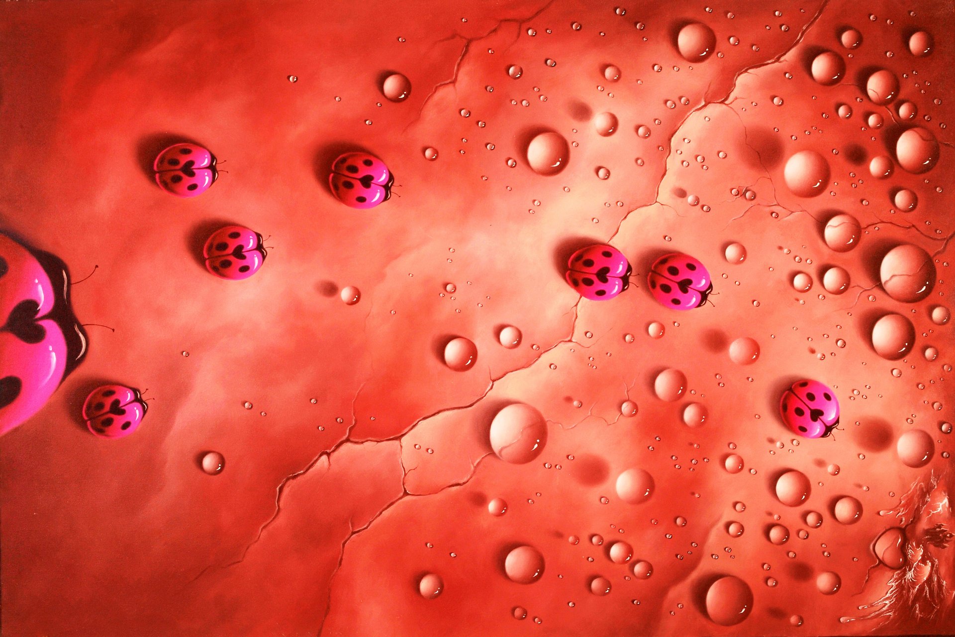 coccinelles eau christopher pollari gouttes