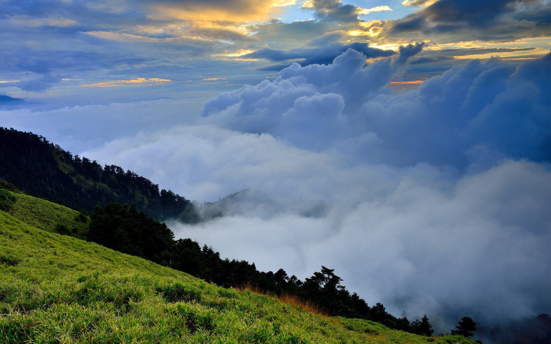 grass hills nature greens clouds fog