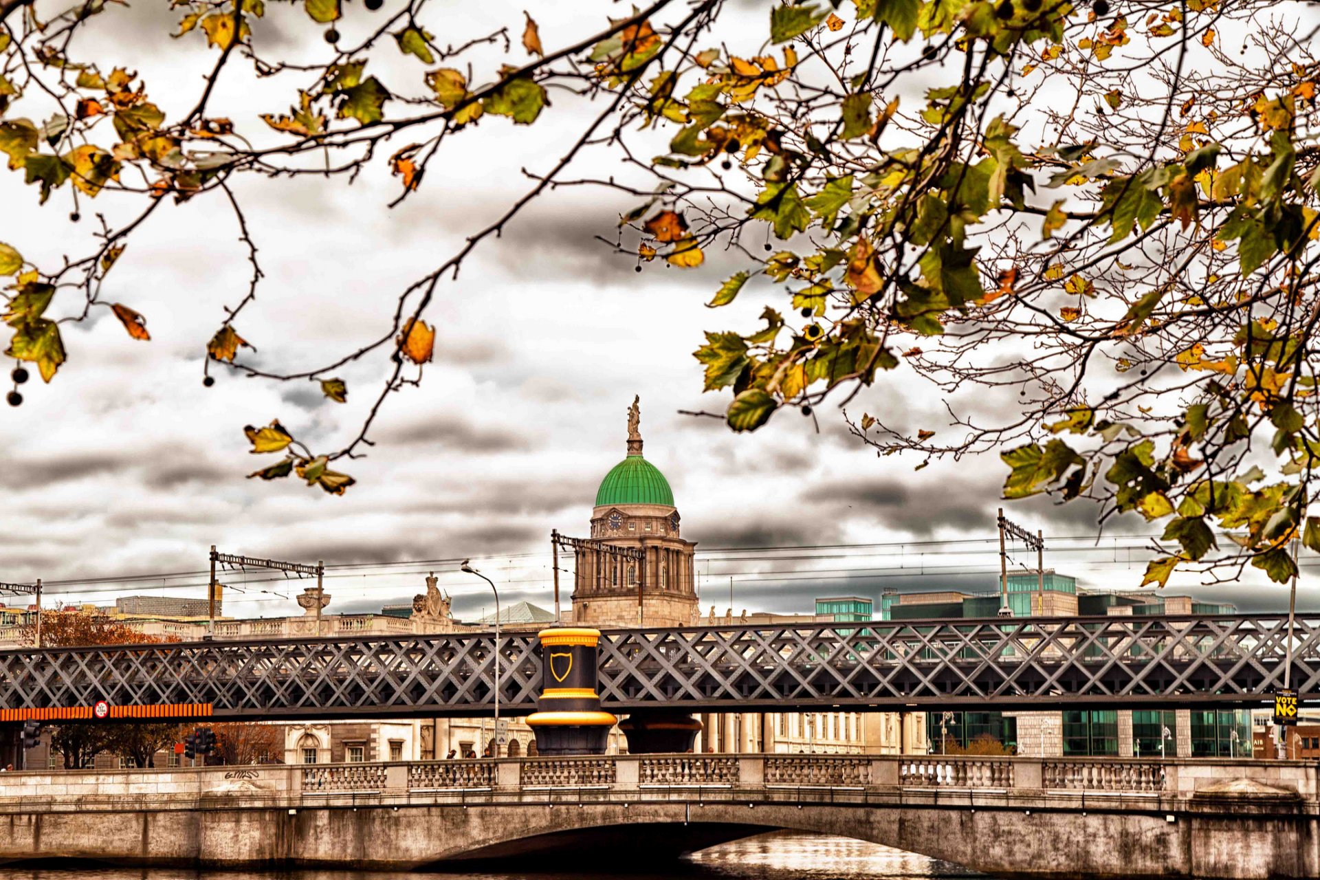 irlanda dublino autunno rami foglie ponte