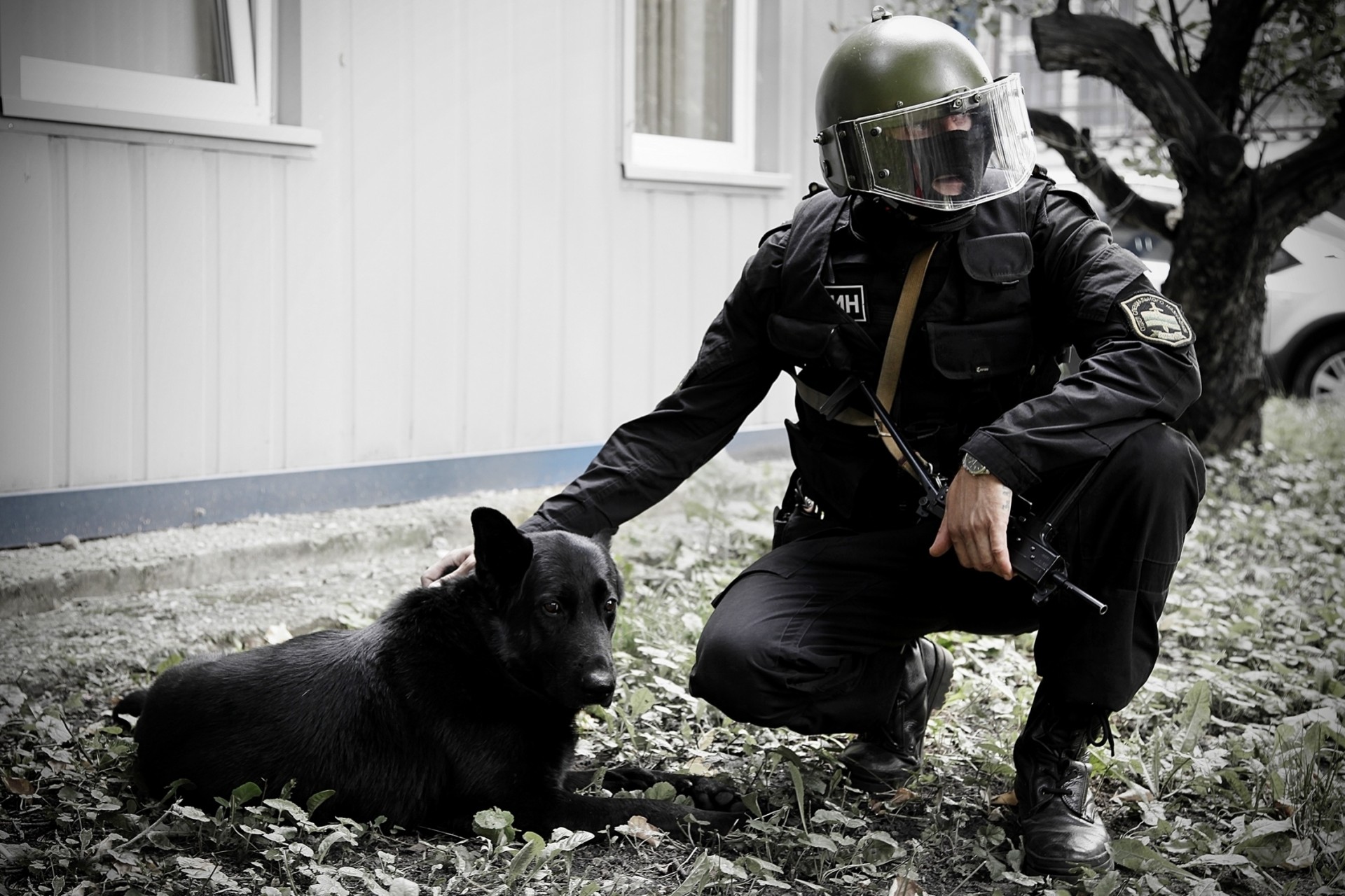 casque chien soldats forces spéciales