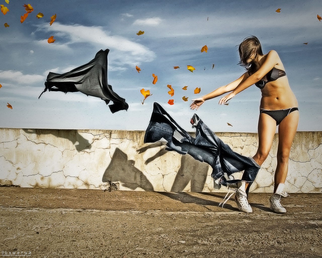 viento hojas chica otoño