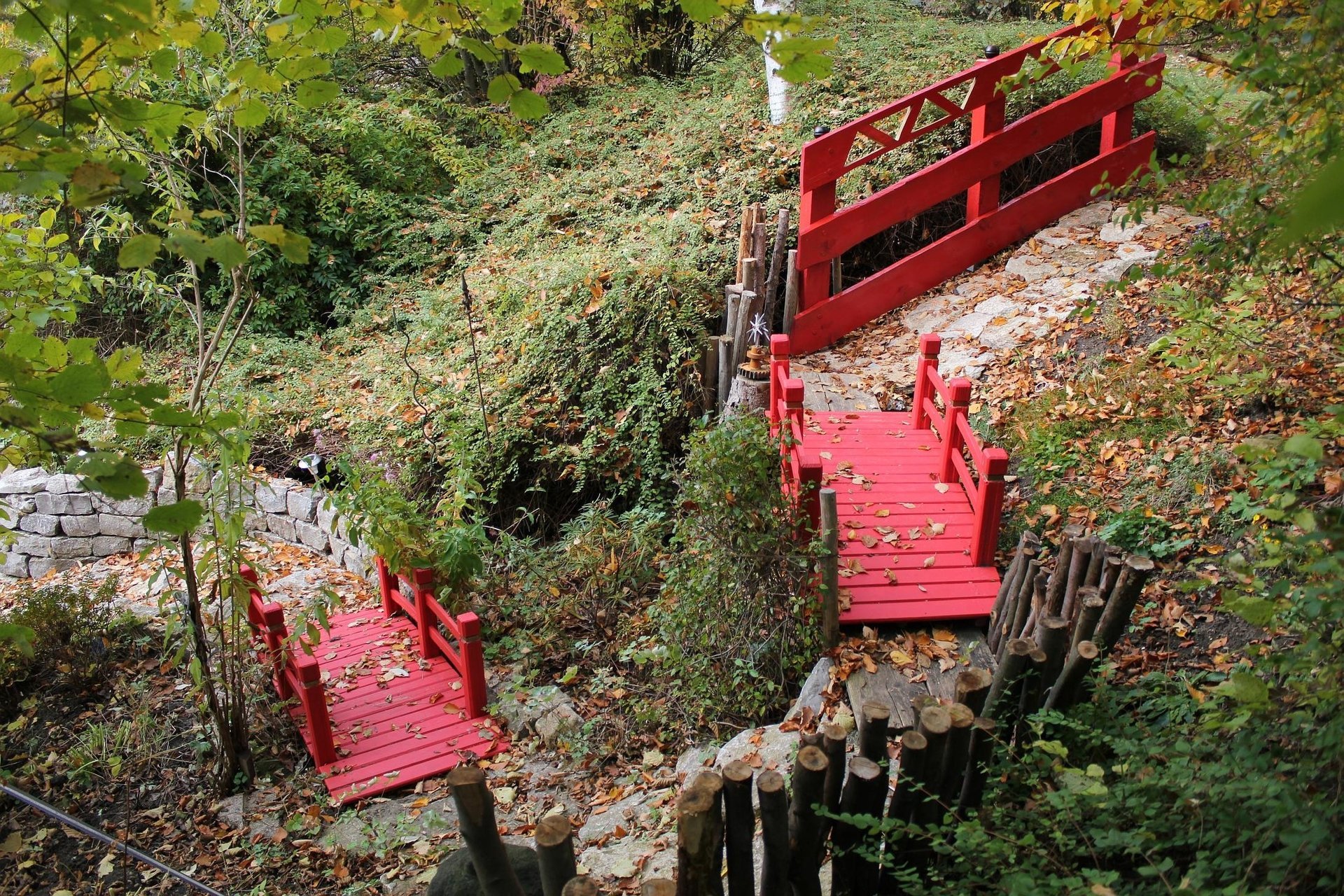 bridge autumn