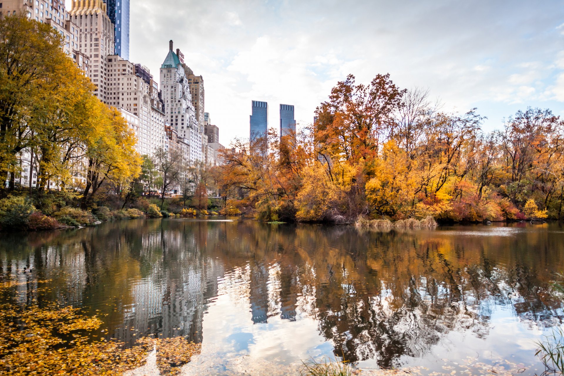 nueva york estados unidos ciudad otoño parque américa nueva york rascacielos