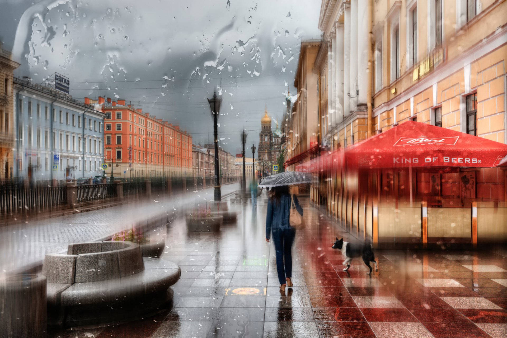 t. petersburg girl drops umbrella rain russia