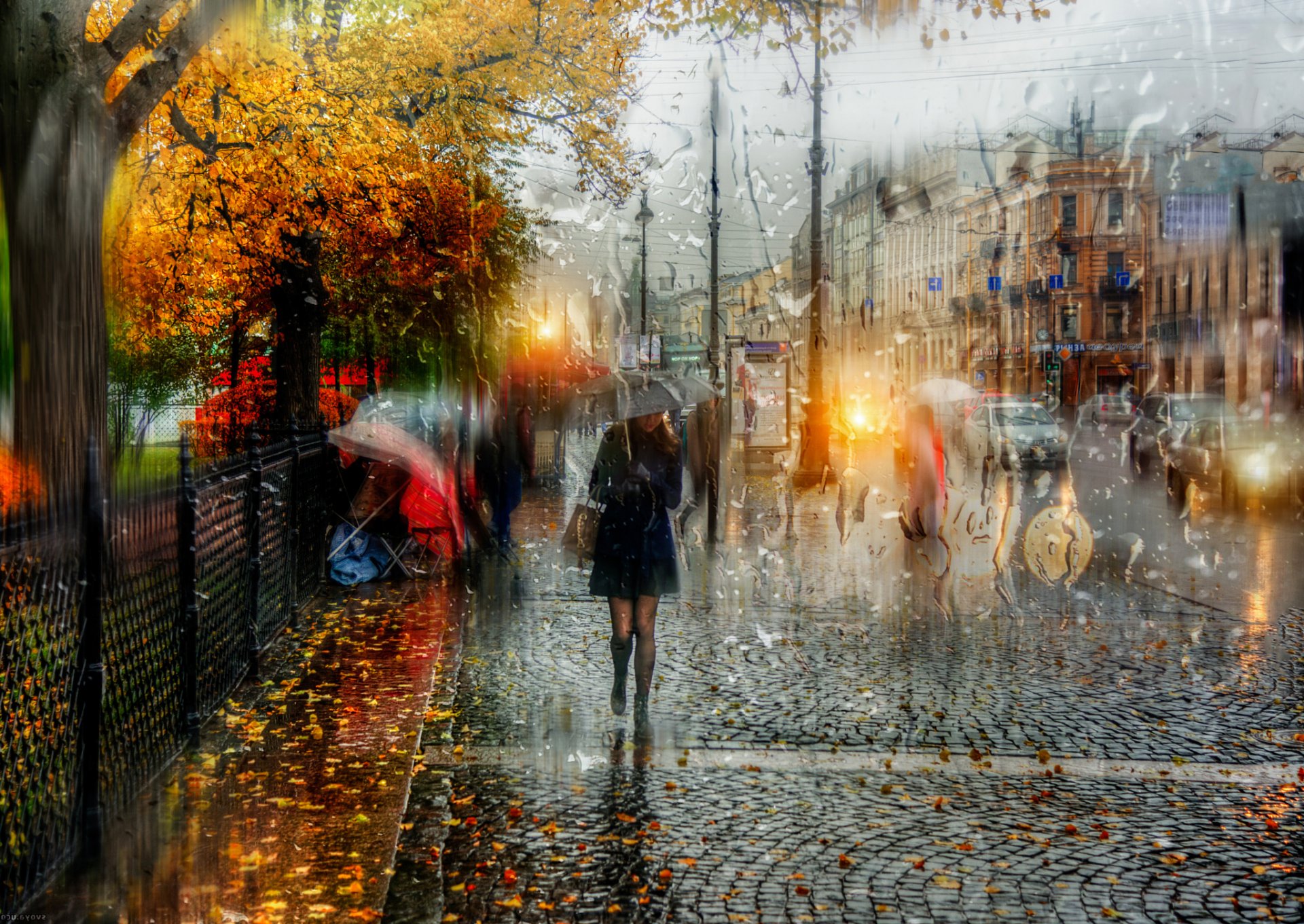 st. petersburg herbstregen mädchen regenschirm tropfen