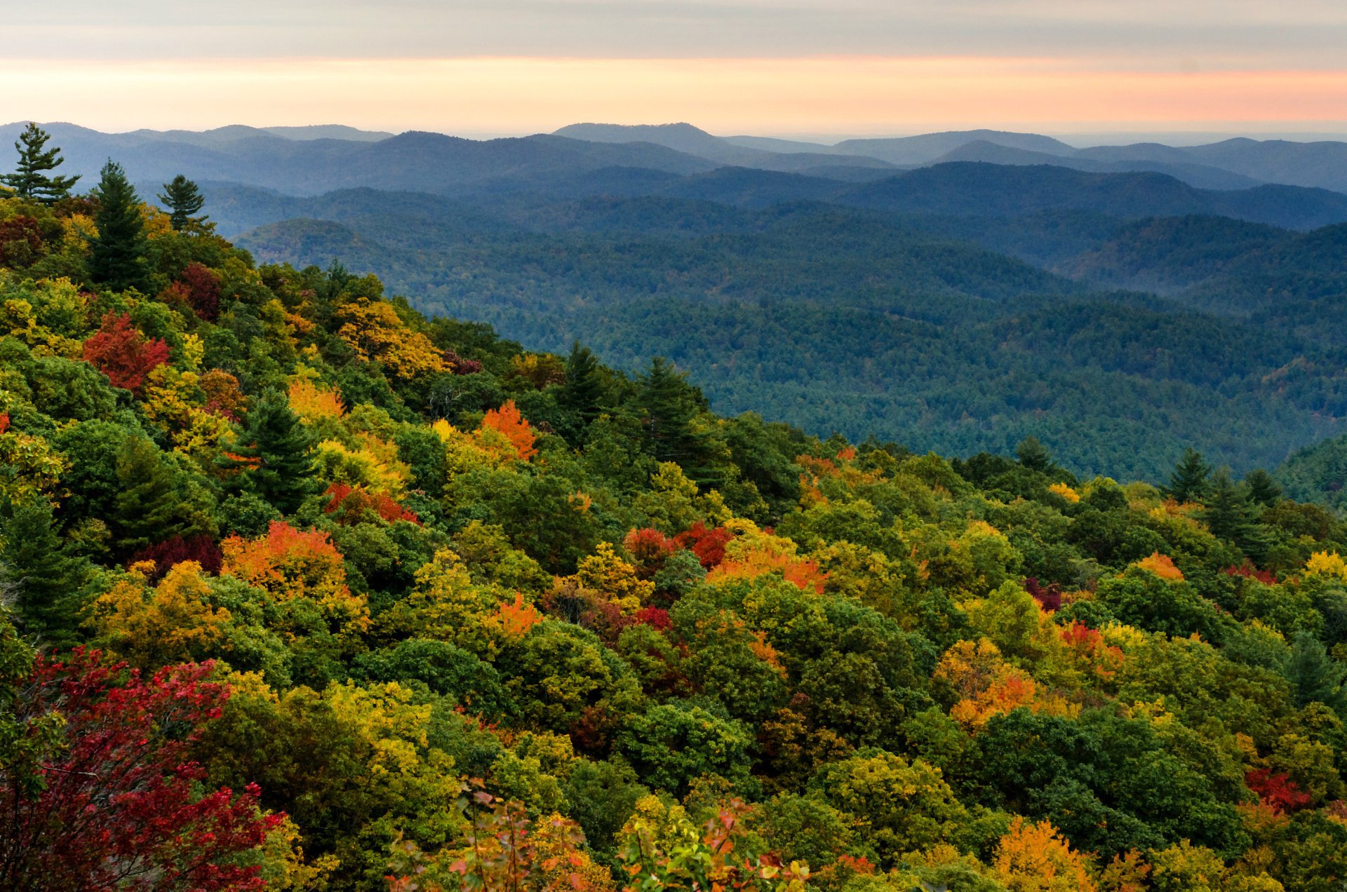 haze hills trees autumn forest