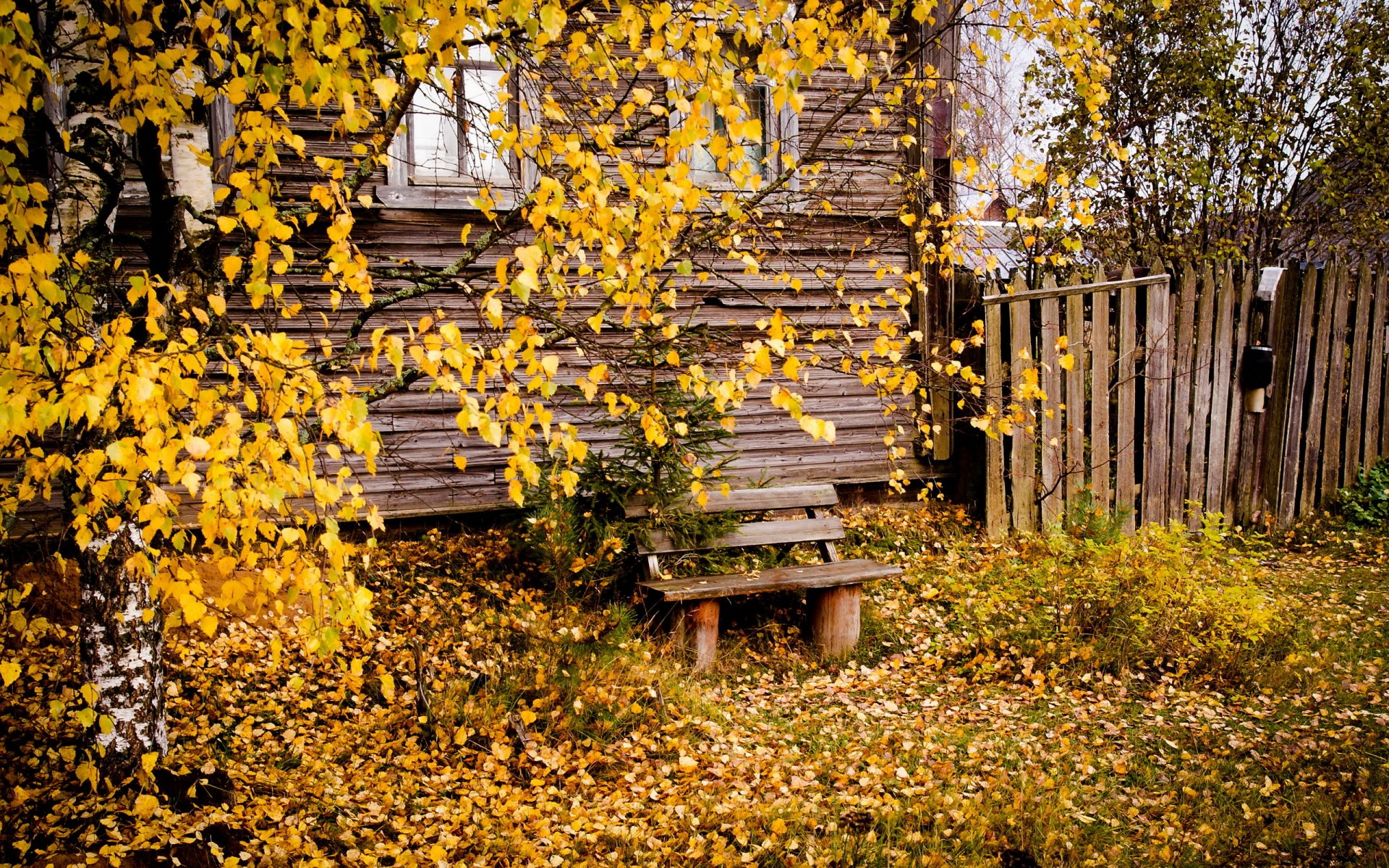 maison banc ville automne